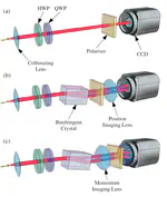 Colloquium: Understanding quantum weak values: Basics and applications