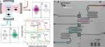 Experimental demonstration of continuous quantum error correction